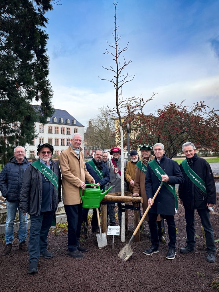 Pflanzung des Amberbaums im Palastgarten